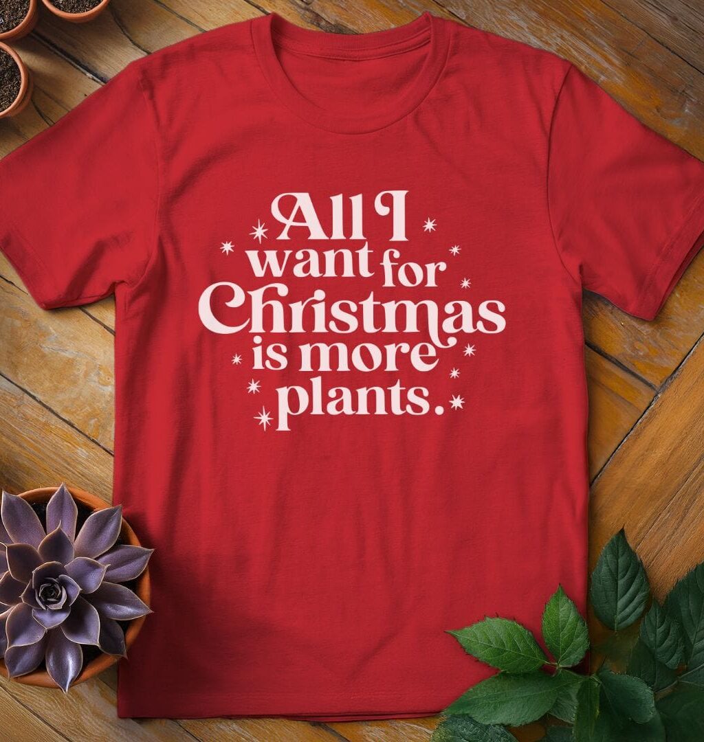 All I Want for Christmas Tee