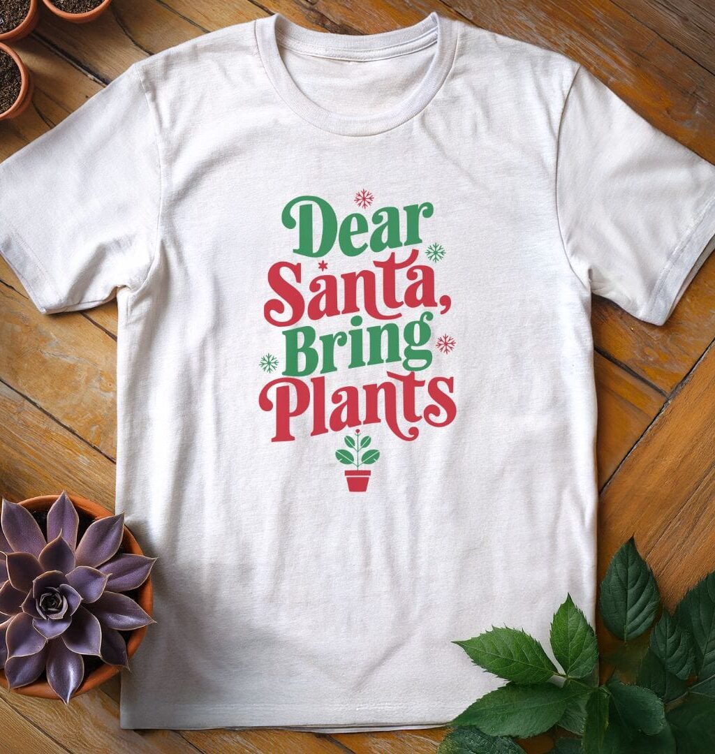 Dear Santa Tee